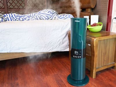 舒乐氏蓝岭雾加湿器 在家里种上一棵会呼吸的树